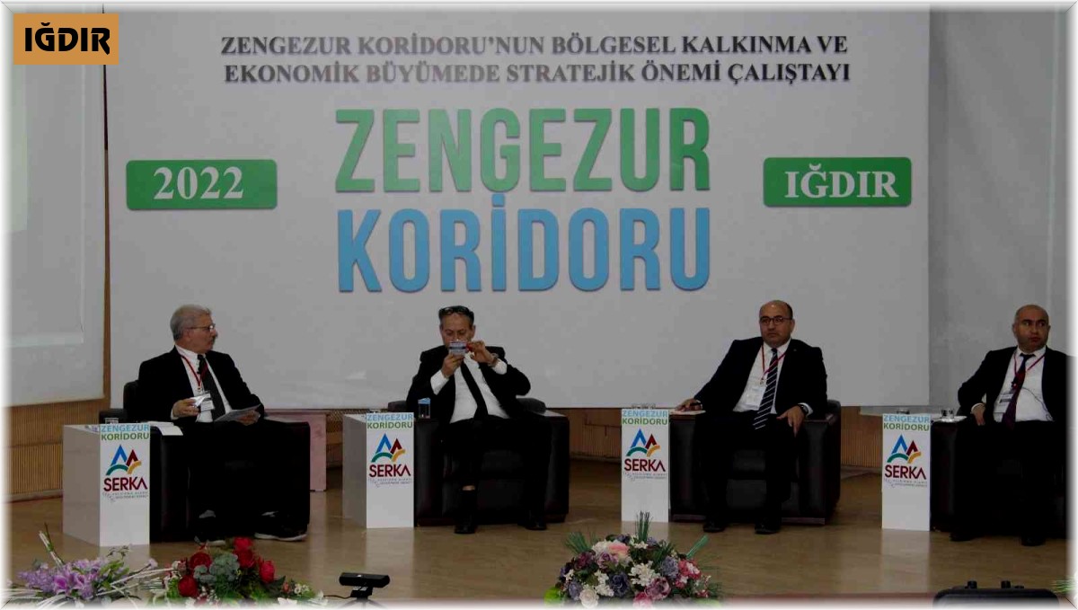 Iğdır'da 'Zengezur Koridoru Çalıştayı' başladı