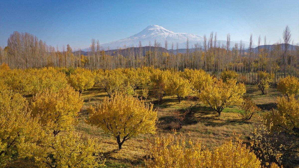 Iğdır'daki İrem Bağları'nda sonbahar renkleri dron ile görüntülendi