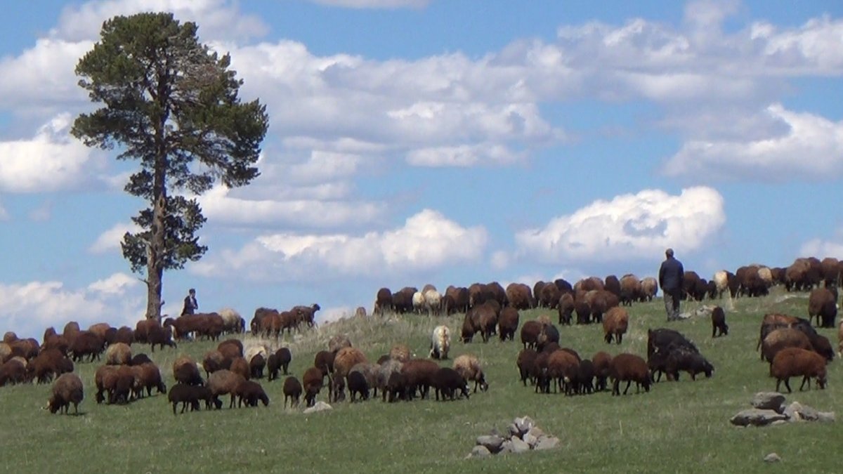 Iğdır'dan Sarıkamış'a göçerlerin zorlu yayla yolculuğu