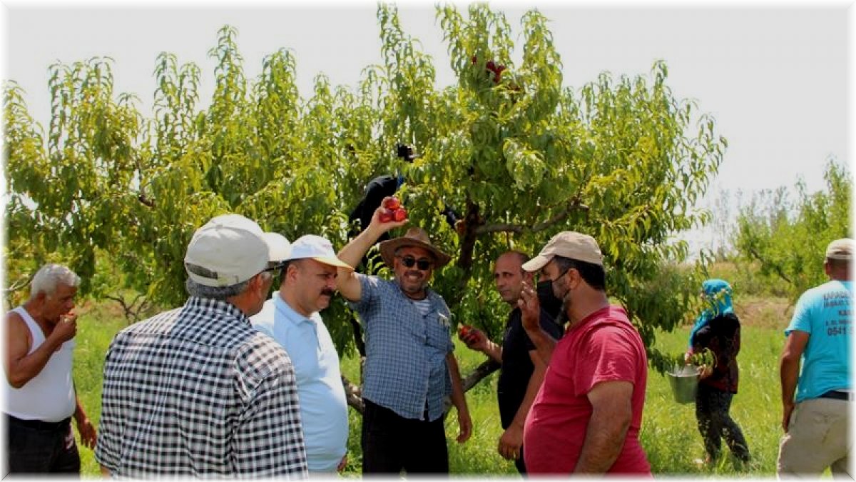 Iğdır İl Tarım Müdürü Yolcu, tarlada çalışan çiftçileri dinledi