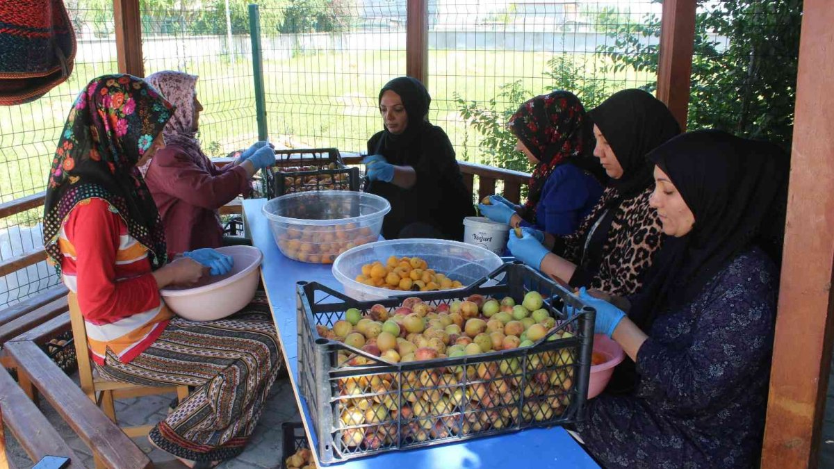 Iğdır'ın muhteşem kokulu kayısısından reçeller yapılmaya başlandı