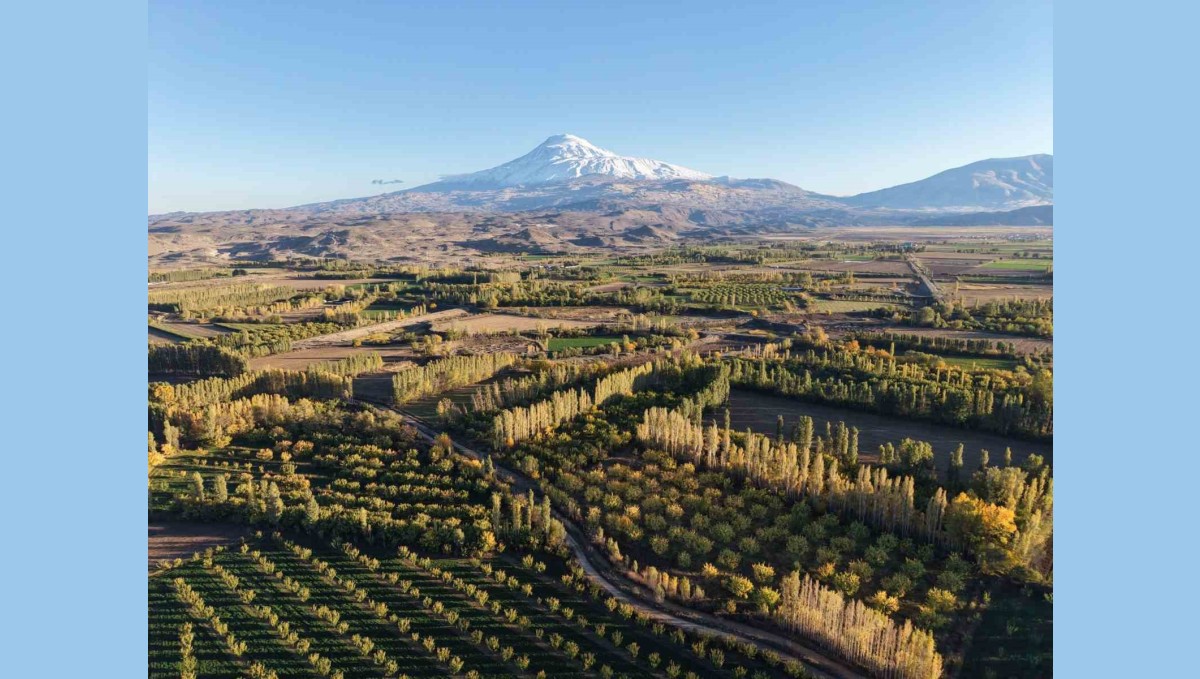 Iğdır'ın renk cümbüşüne dönüşen doğal cenneti İrem Bağları, havadan görüntülendi