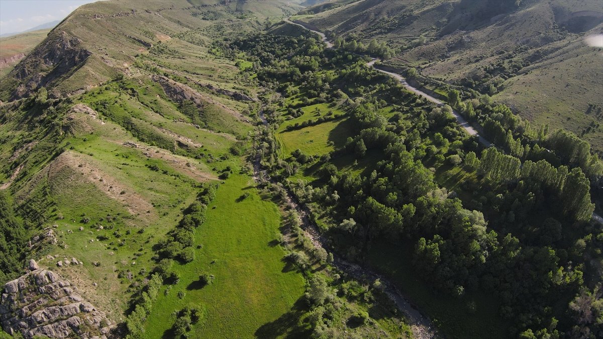 Iğdır'ın Üçkaya Vadisi yeşiliyle Karadeniz'i andırıyor
