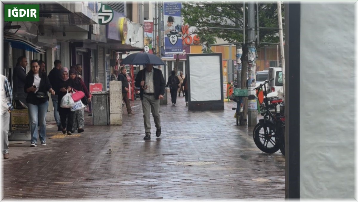 Iğdır'ın yüksek kesimlerinde dolu yağışı etkili oldu