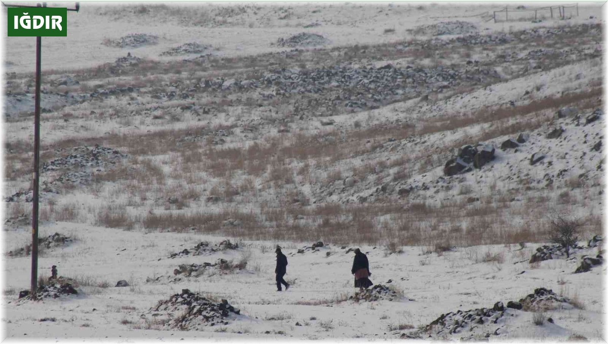 Iğdır'ın yüksek kesimlerinde kar etkili oluyor