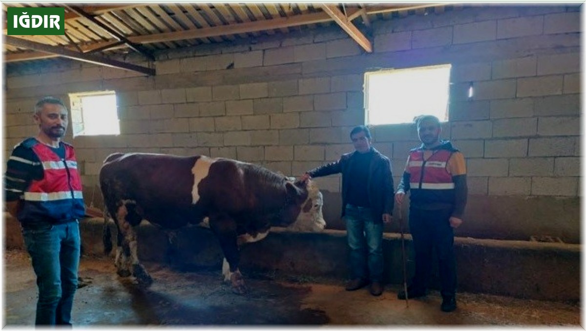 Iğdır JASAT'tan büyük başarı: 111 olay aydınlatıldı