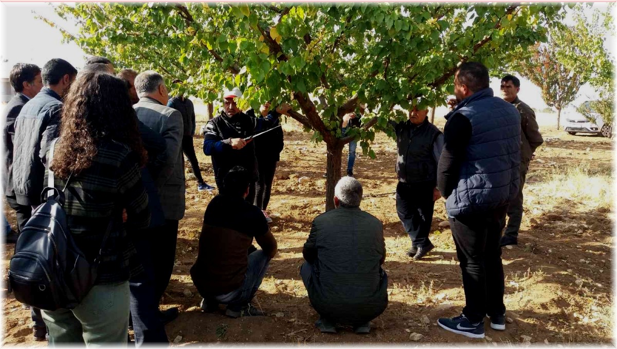 "Iğdır meyveciliğinde budama ve aşılama eğitimi'' projesi
