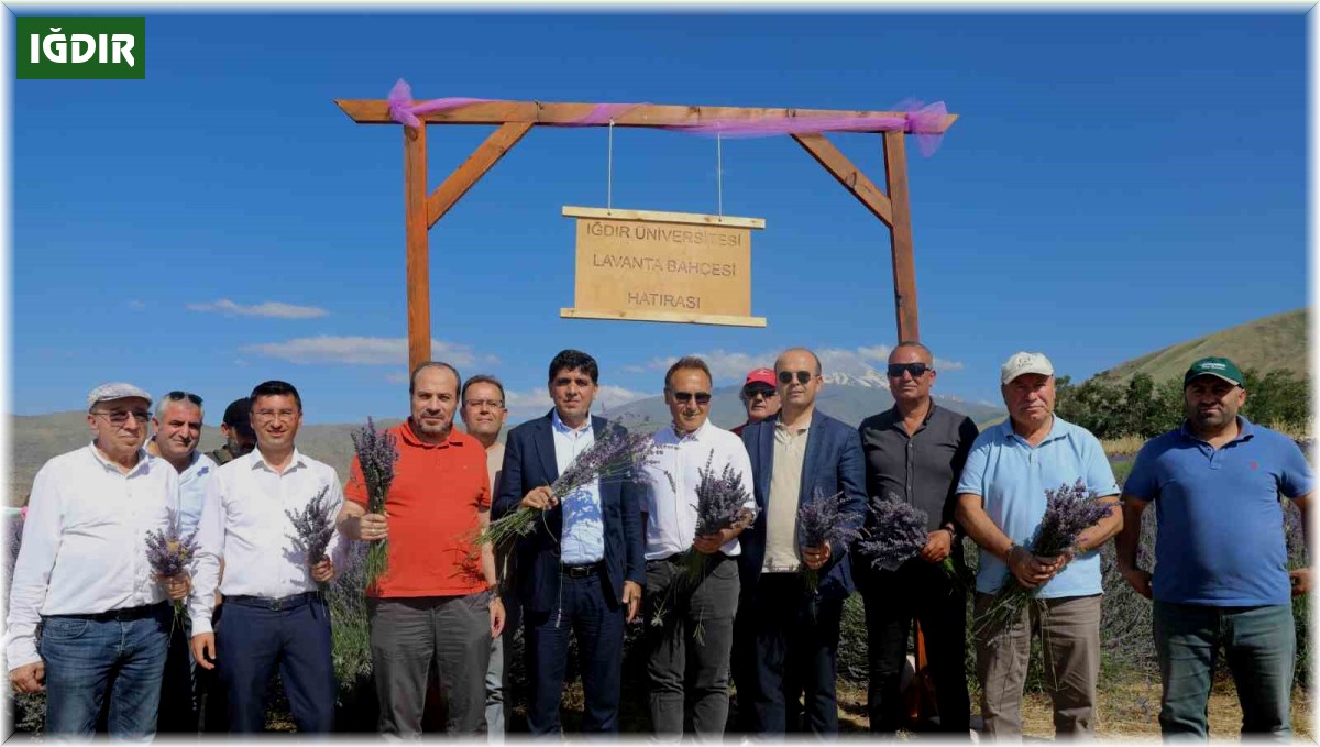 Iğdır Üniversitesi'nde "3. Geleneksel Lavanta Şenliği" coşkusu