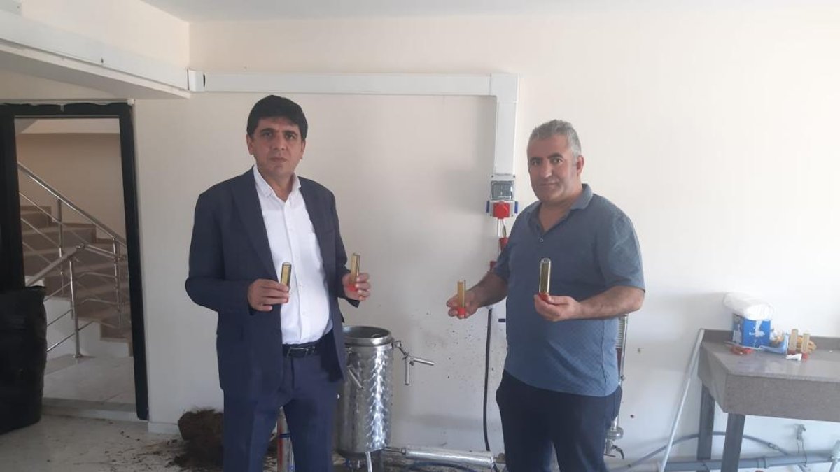 Iğdır Üniversitesinde “Lavanta Yağı” Seri Üretimine Başladı