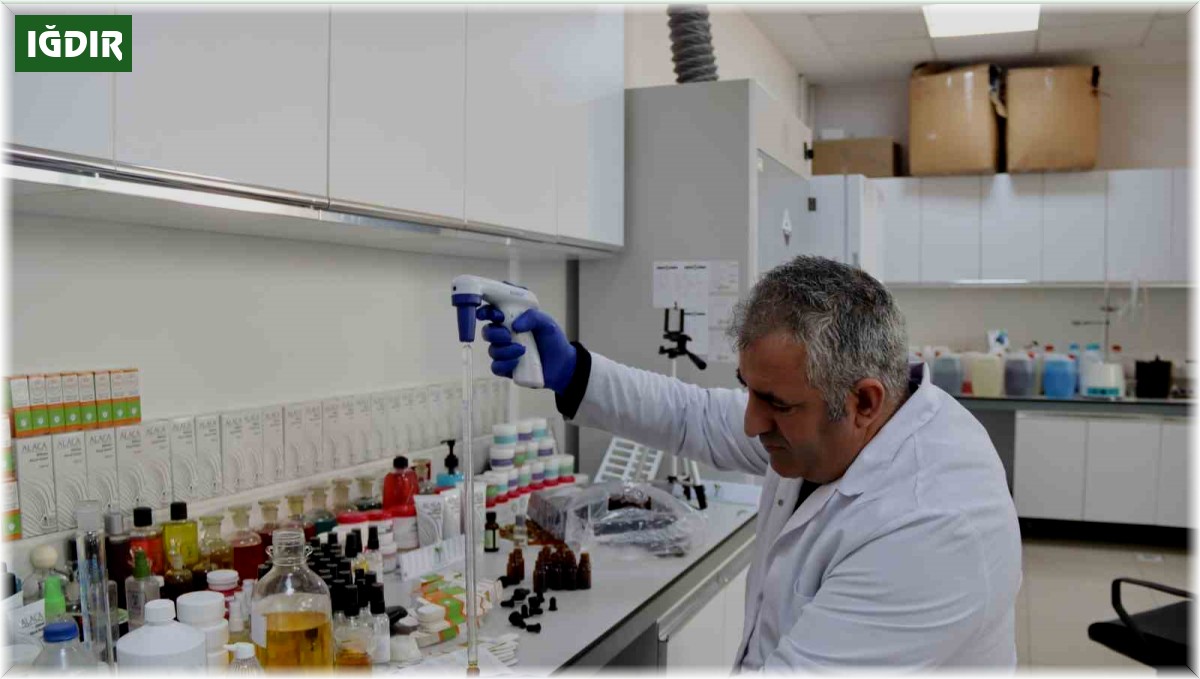 Iğdır Üniversitesinin yeni ihtisas ürünü ile tırnak eti soyulmaları tarih oluyor