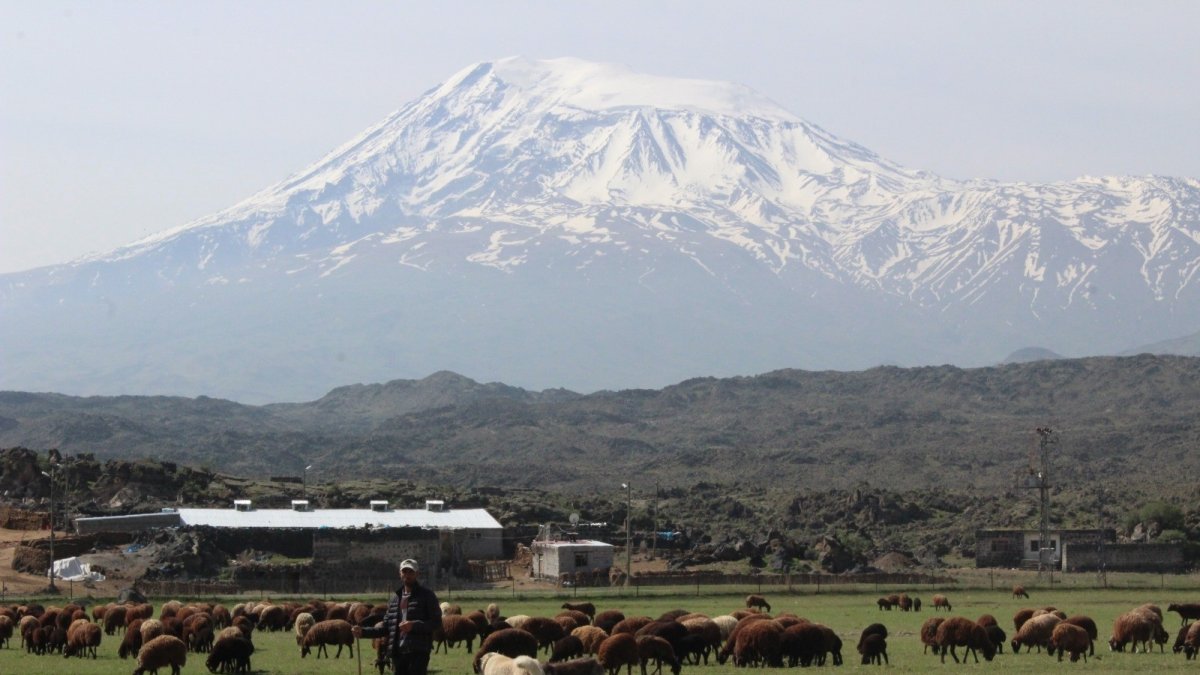Iğdırlı besiciler Ağrı Dağı'nın yolunu tuttu
