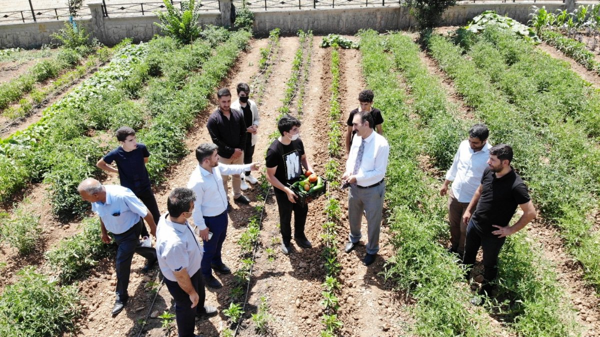 İhtiyaç sahibi ailelerin sebzeleri imam hatipli öğrencilerden