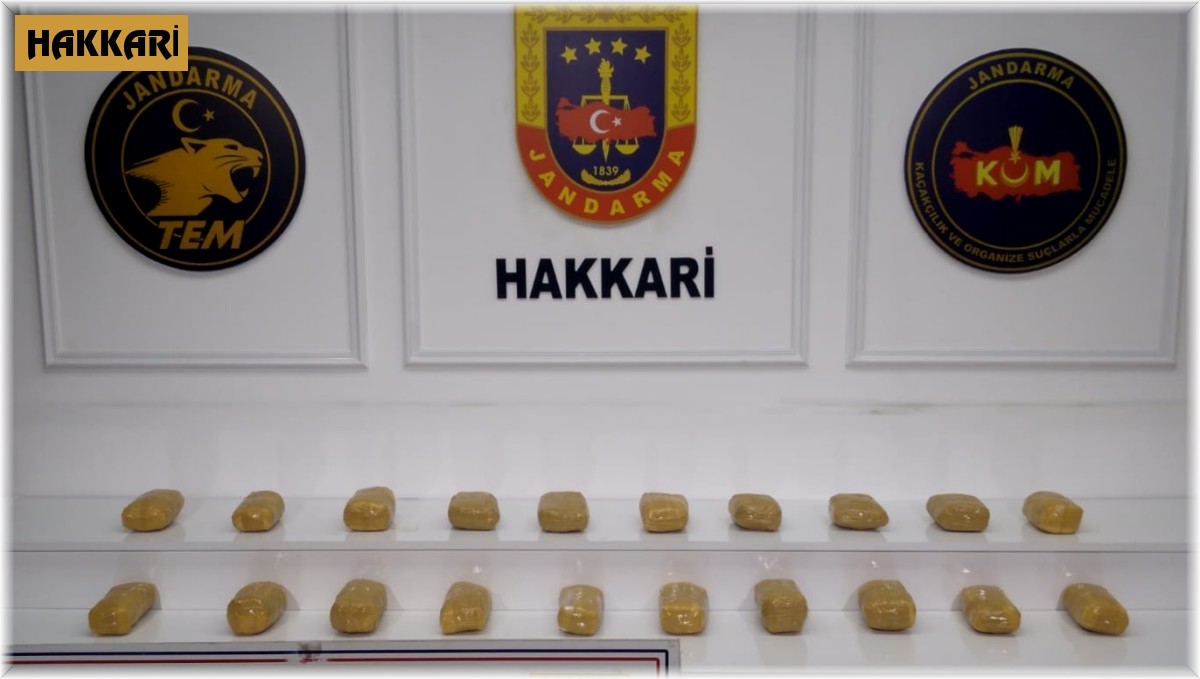 İki sırt çantasında 20 kilo eroin ele geçirildi