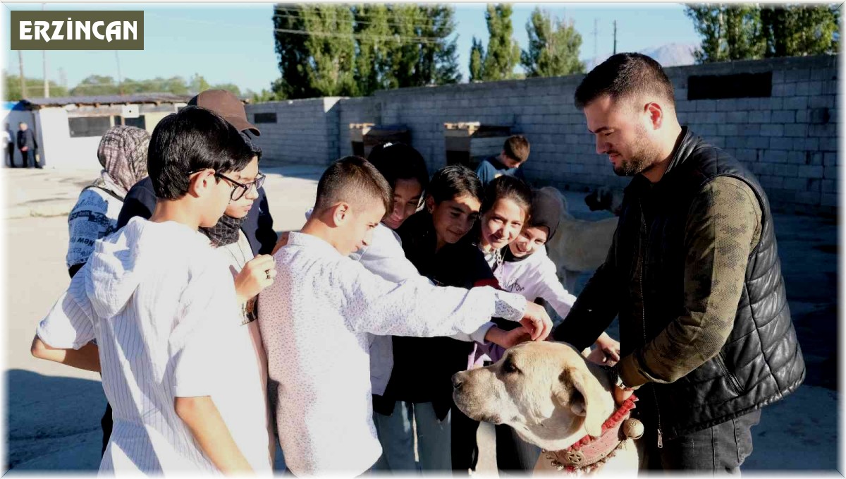 İkinci el otomobil fiyatına kangal