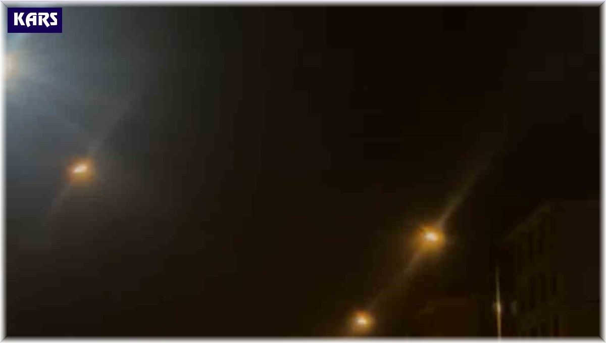 İlçe merkezine inen anne ayı ile 2 yavrusu kamerayla yakalandı