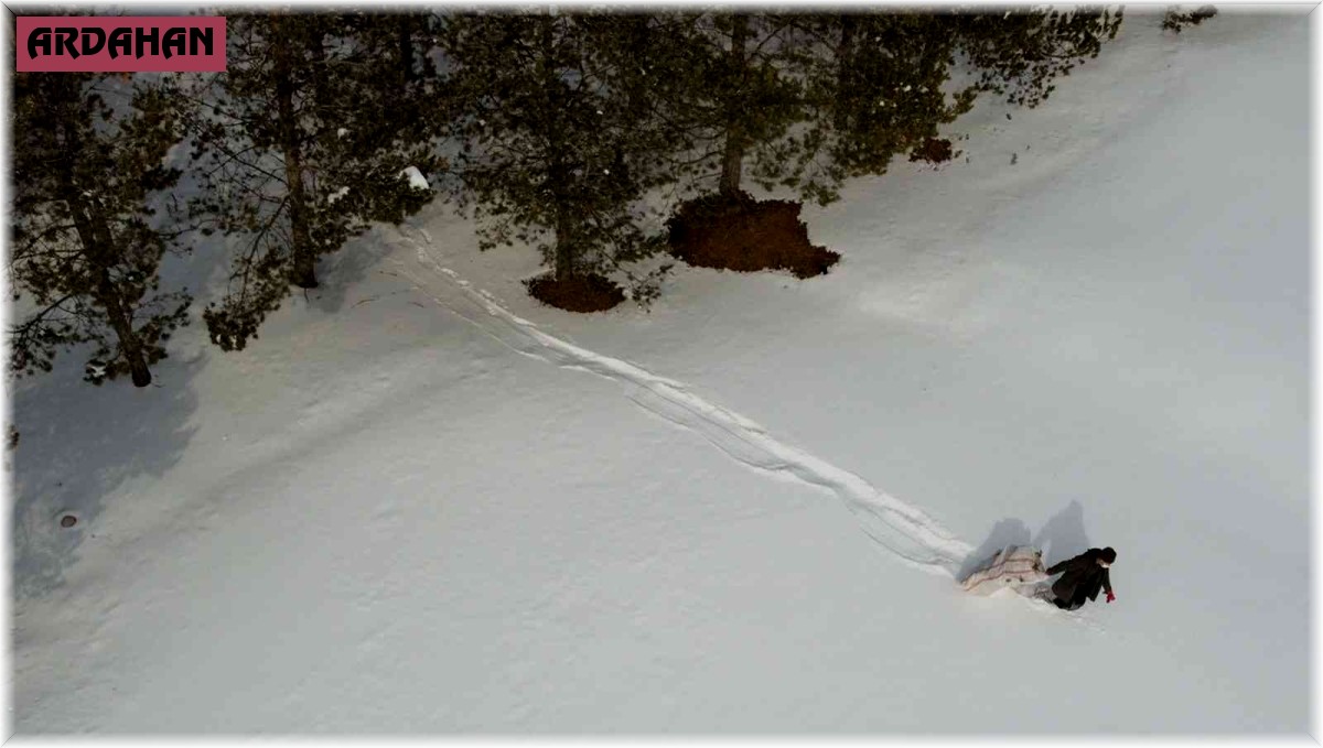 İlçede yaban hayatını unutmadı