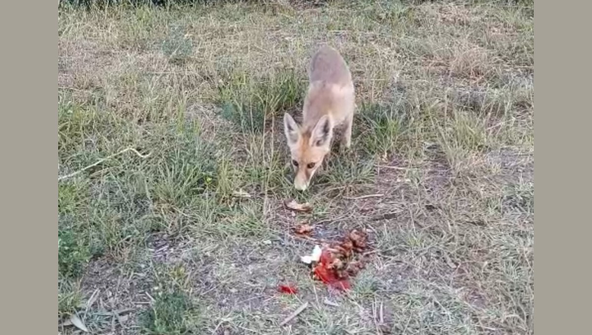 İlhan öğretmenden anlamlı davranış