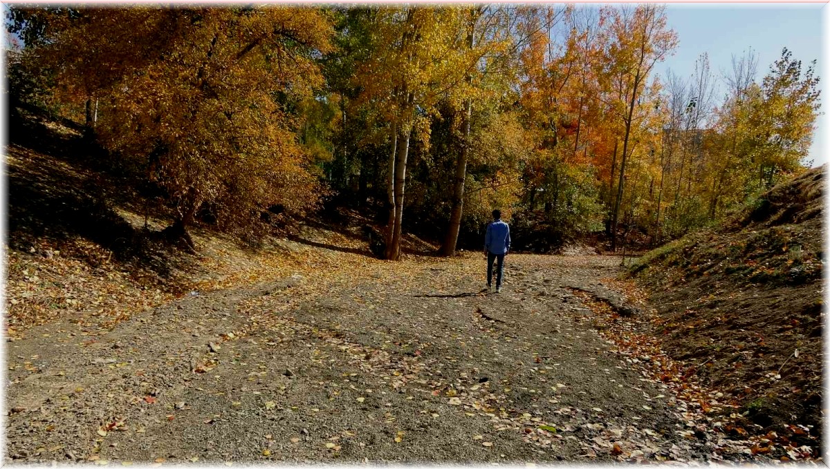 İlkbaharda gürül gürül akan dere yatağı şimdi yol olarak kullanılıyor