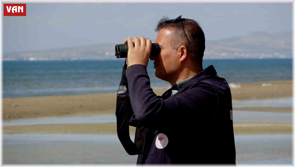 İnci kefali avcılarına göz açtırılmıyor