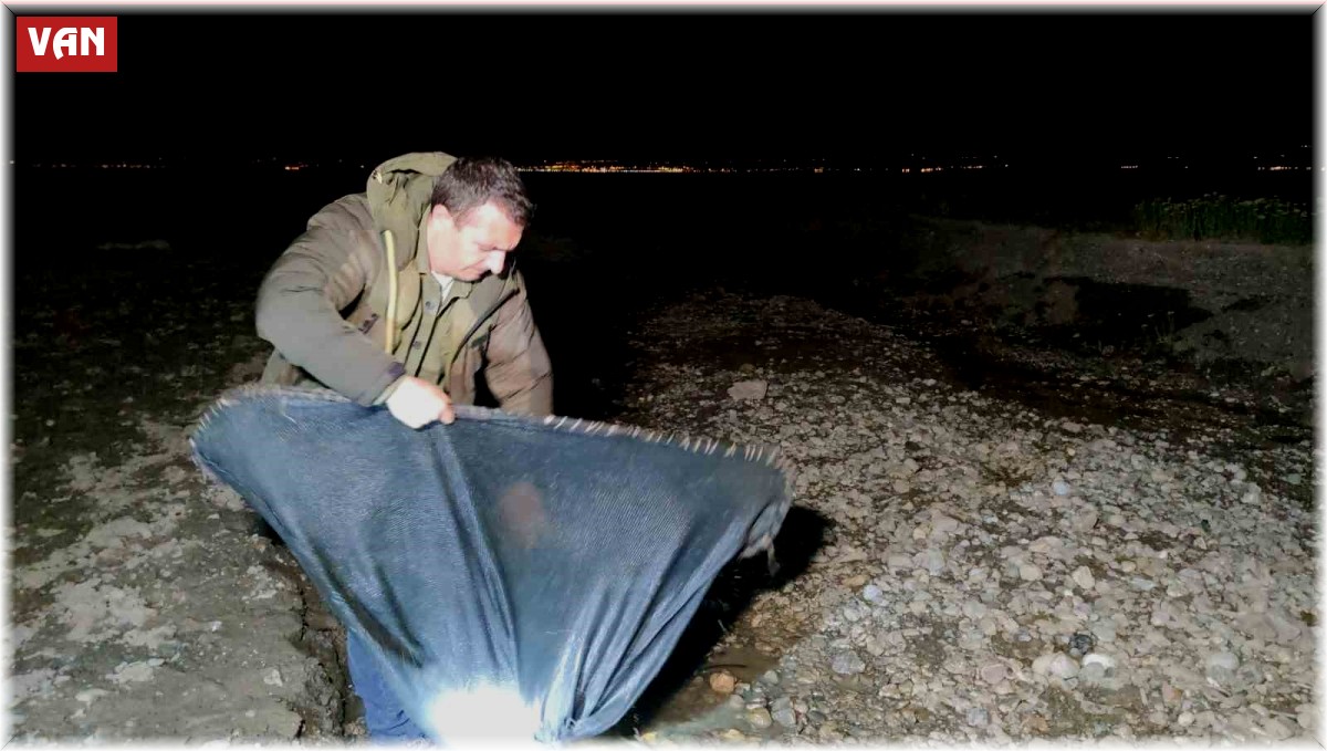 İnci kefali için gece denetimi