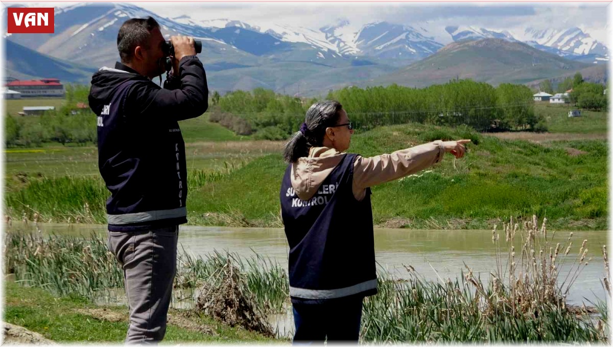 İnci kefali yoğun denetimlerle korunuyor