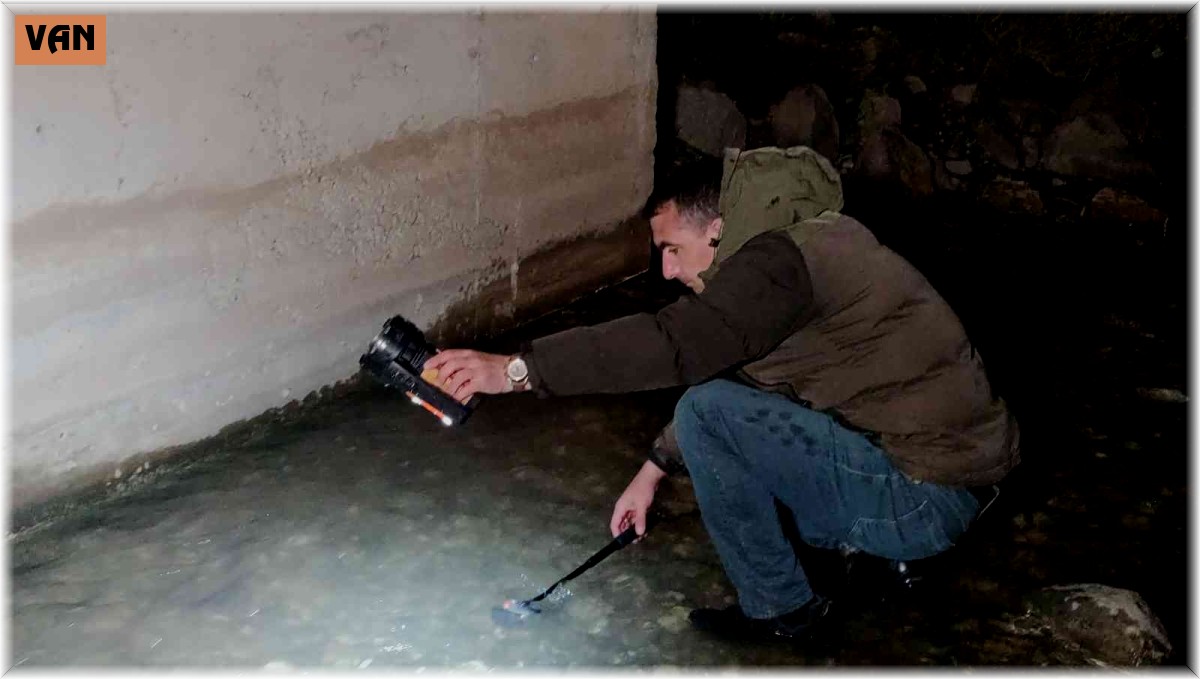 İnci kefalinin muhteşem gece yolculuğu devam ediyor