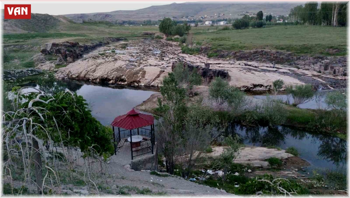 İnci kefalinin yaşamı tehlike altında