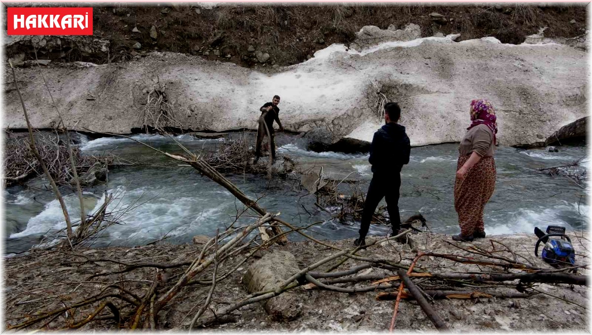 İnen çığın verdiği zarar bir ay sonra ortaya çıktı