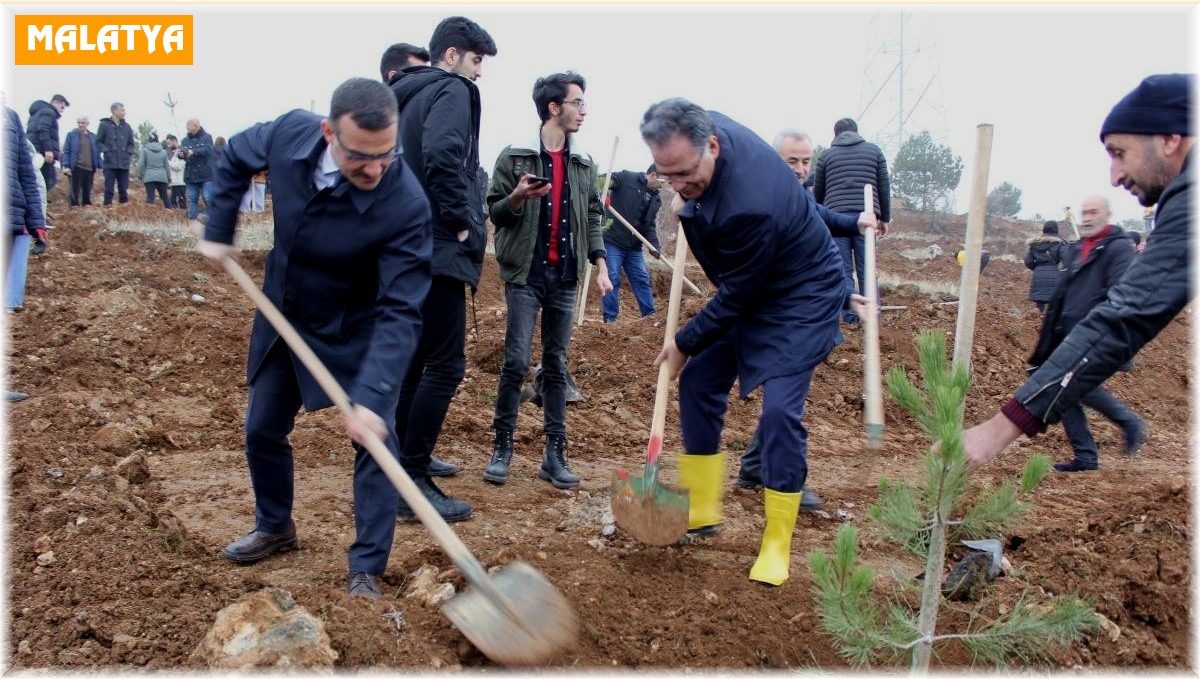 İnönü Üniversitesi'nde bin fidan toprakla buluşturuldu