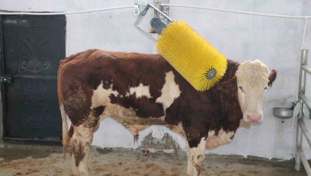 IPARD III ile Erzincan tarımına 178 milyon TL'lik yatırım desteği