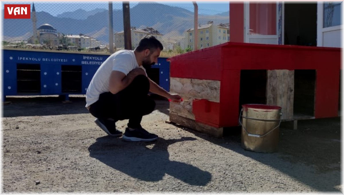İpekyolu Belediyesi sokak hayvanlarına kulübe tasarlıyor