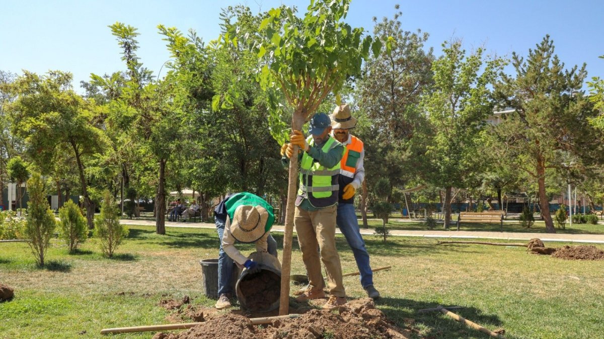 İpekyolu Belediyesinden ağaçlandırma çalışması