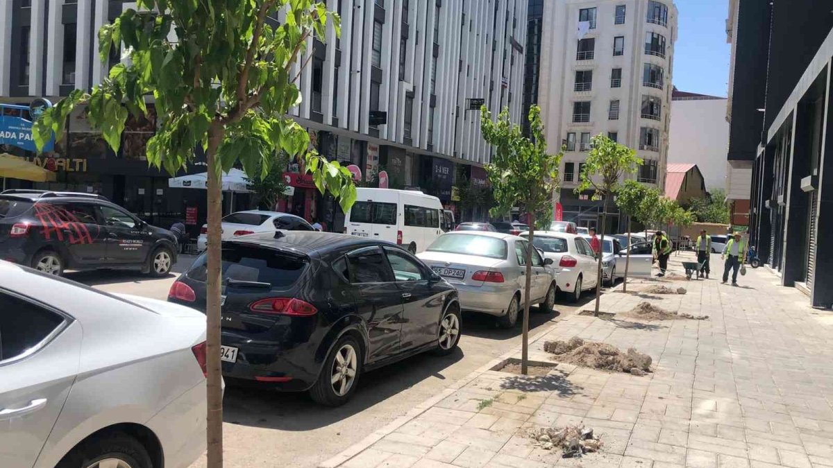 İpekyolu Belediyesinden fidan dikimi