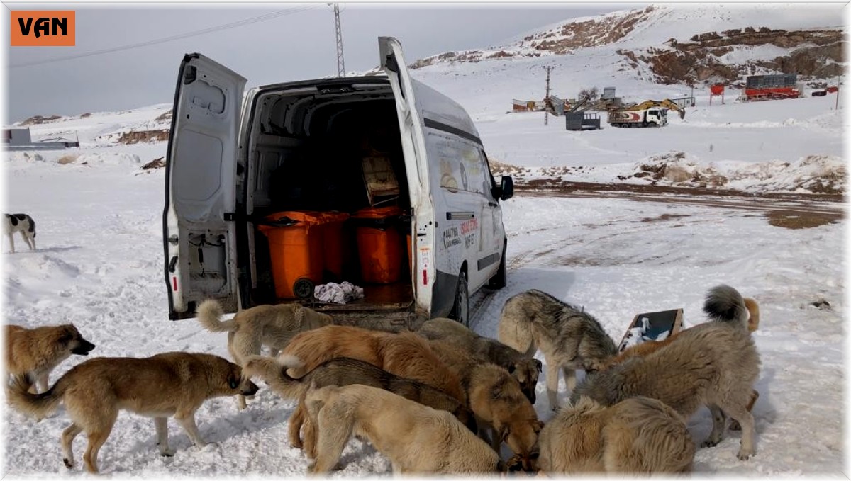 İpekyolu Belediyesinden örnek çalışma