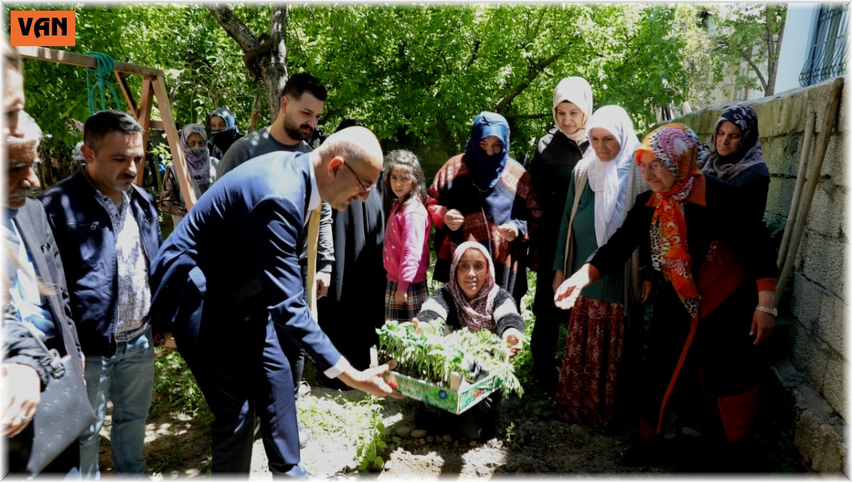 İpekyolu Belediyesinden sebze fidesi dağıtımı