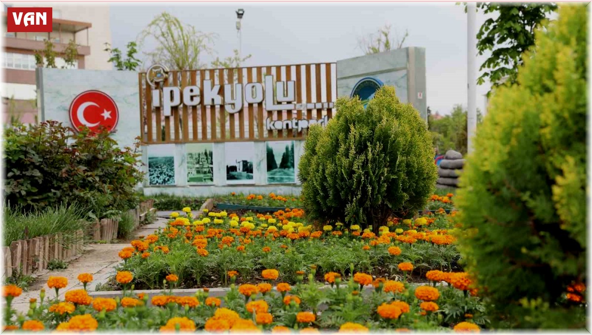 İpekyolu'nda 100 binlerce çiçek toprakla buluşuyor