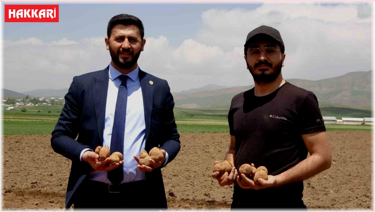 Irak'tan dönen genç iş adamı, Cilo Dağı eteklerinde 100 dönümlük alana patates ekimine başladı