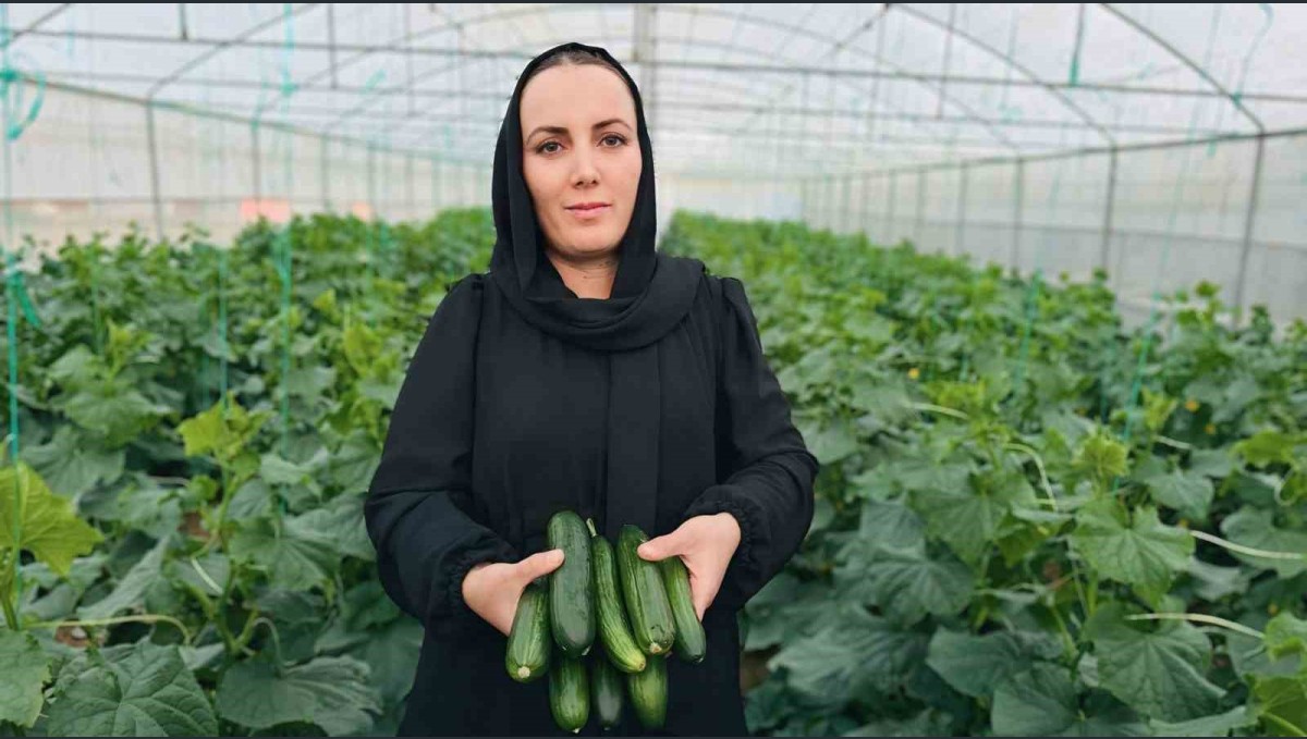 Irak'tan Yüksekova'ya uzanan başarı öyküsü