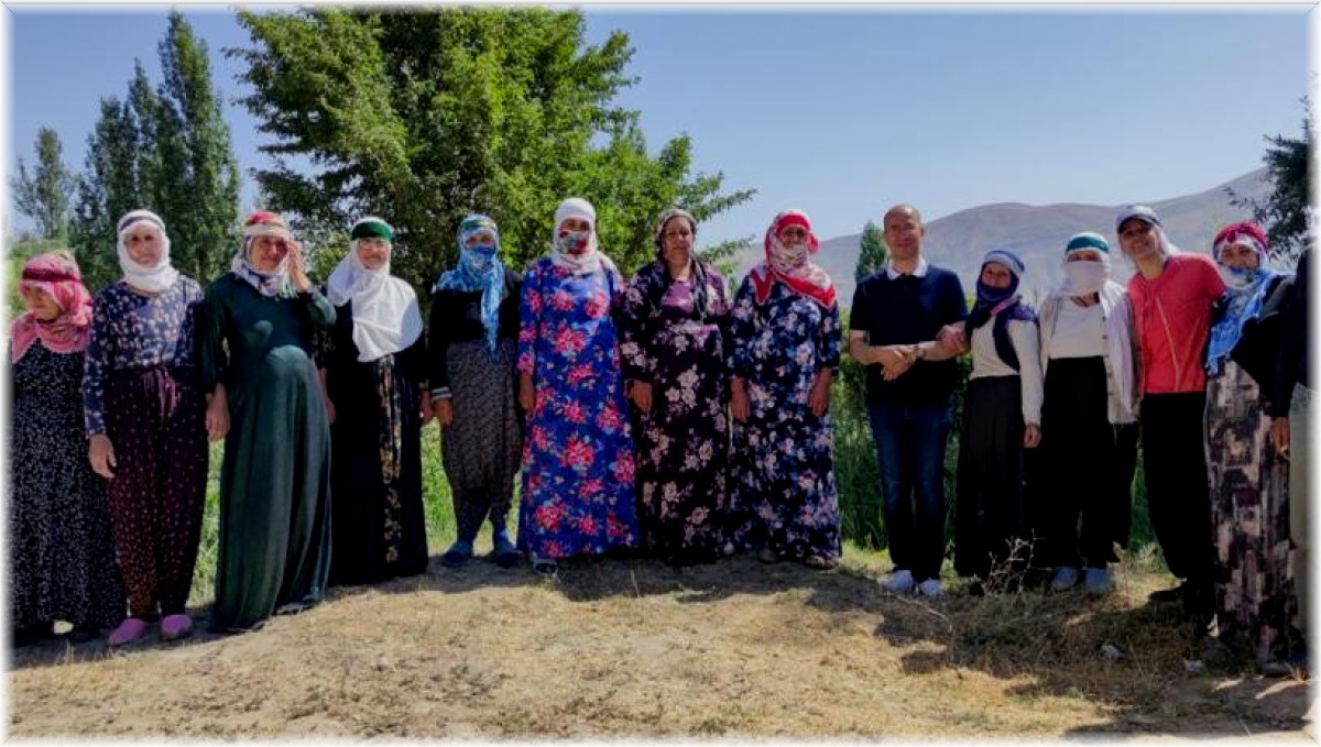 İran sınırında berivanlar yaylalara ücretsiz taşınıyor