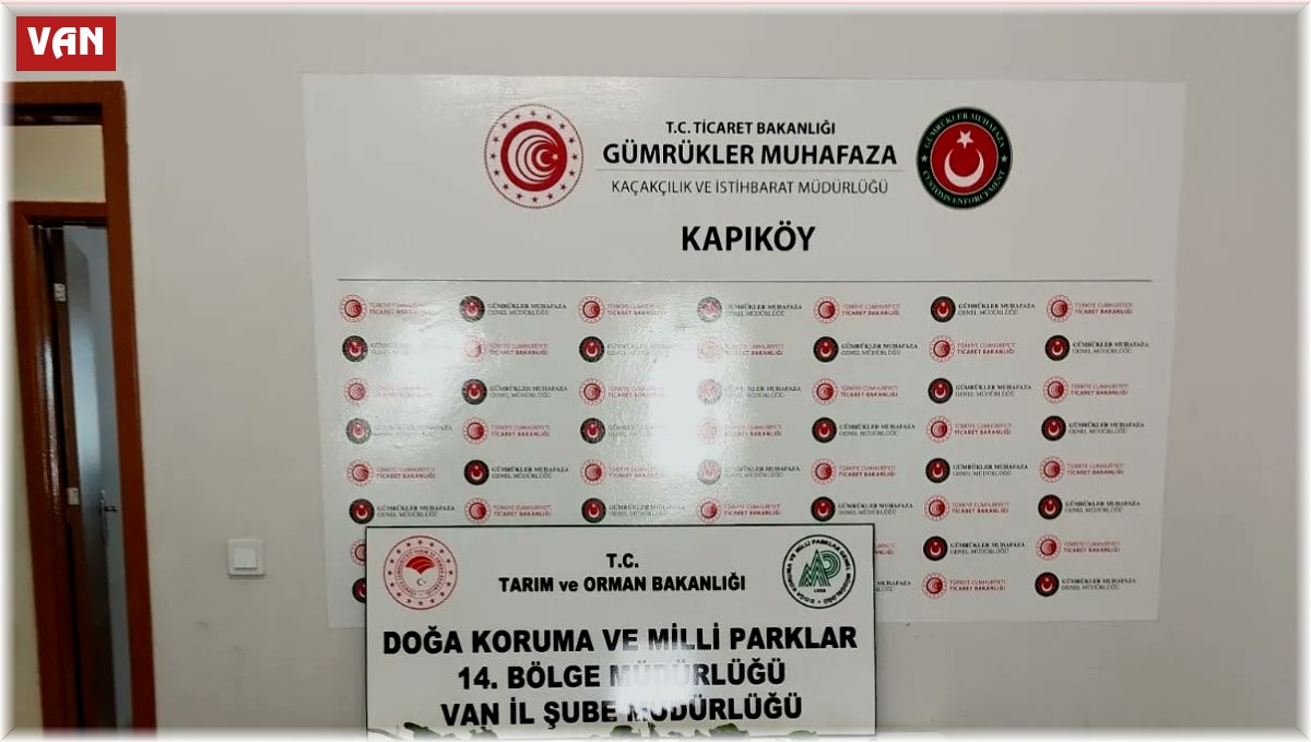 İran uyruklu 1 kişiye biyoçeşitliliği tahripten toplam 387 bin 141 lira ceza verildi