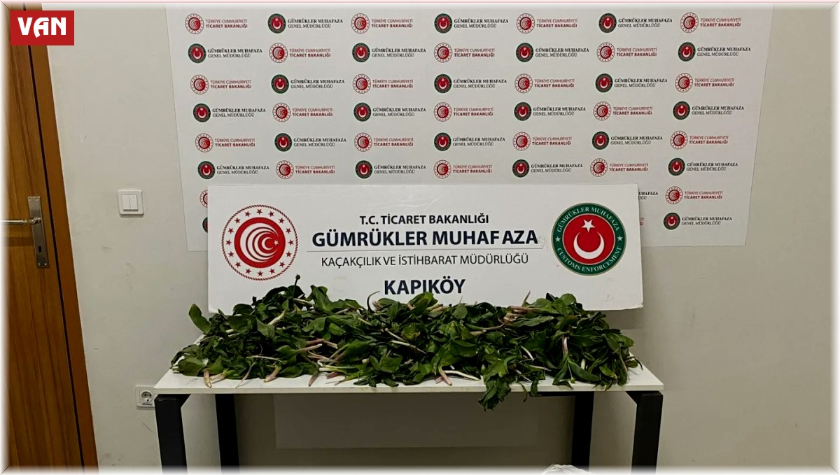 İran uyruklu 6 kişiye biyoçeşitliliği tahripten toplam 2 milyon 322 bin 846 lira ceza