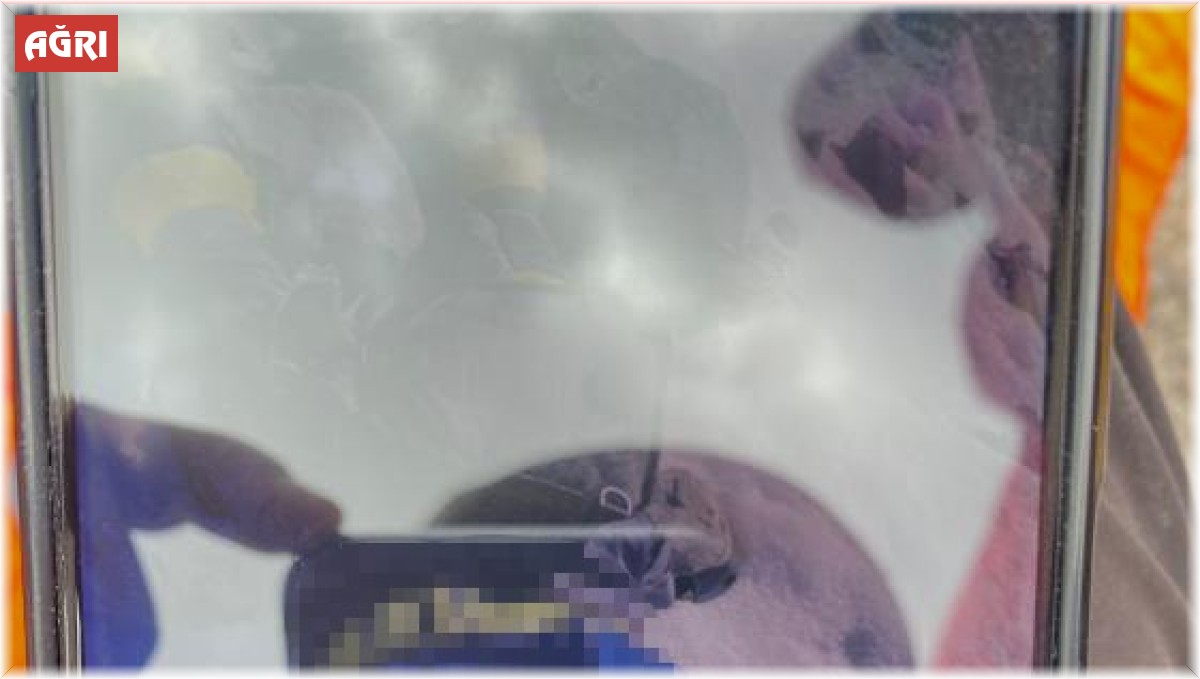 İranlı dağcı Ağrı Dağı'nda hayatını kaybetti