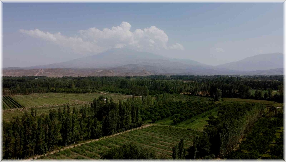 İrem Bağları, doğal güzelliği ve meyve sebzesiyle göz kamaştırıyor