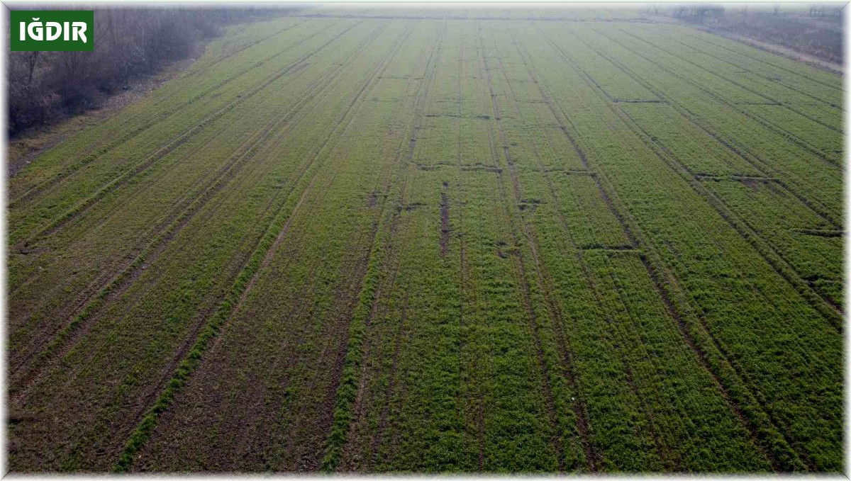 İrem Bağları'nda bahar havası yaşanıyor
