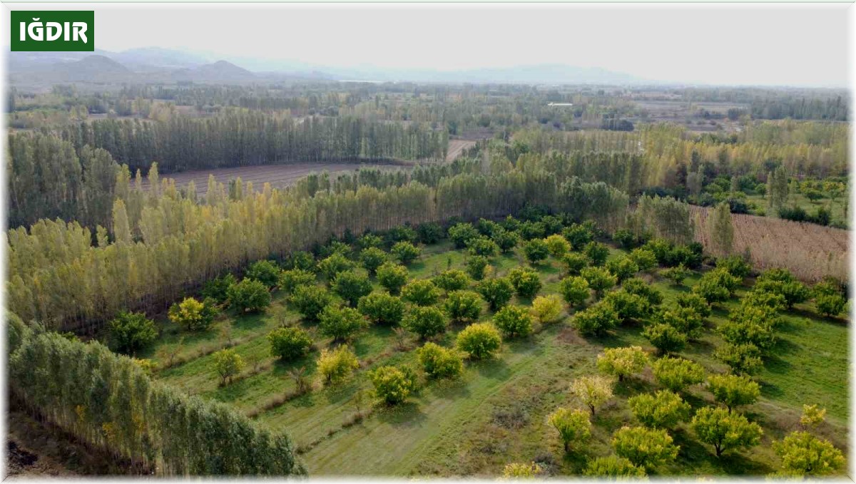 İrem Bağları'nda sonbahar güzelliği