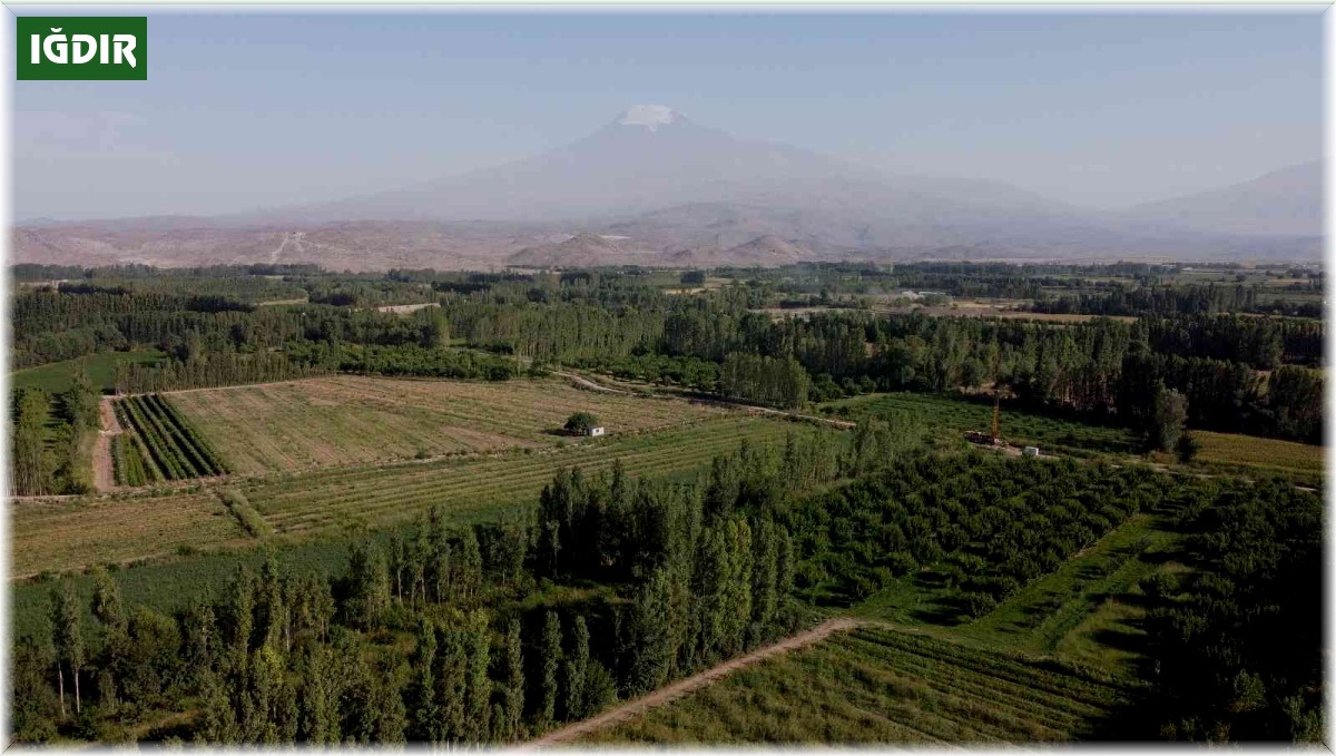 İrem Bağlarında yeşilliğin son demleri yaşanıyor