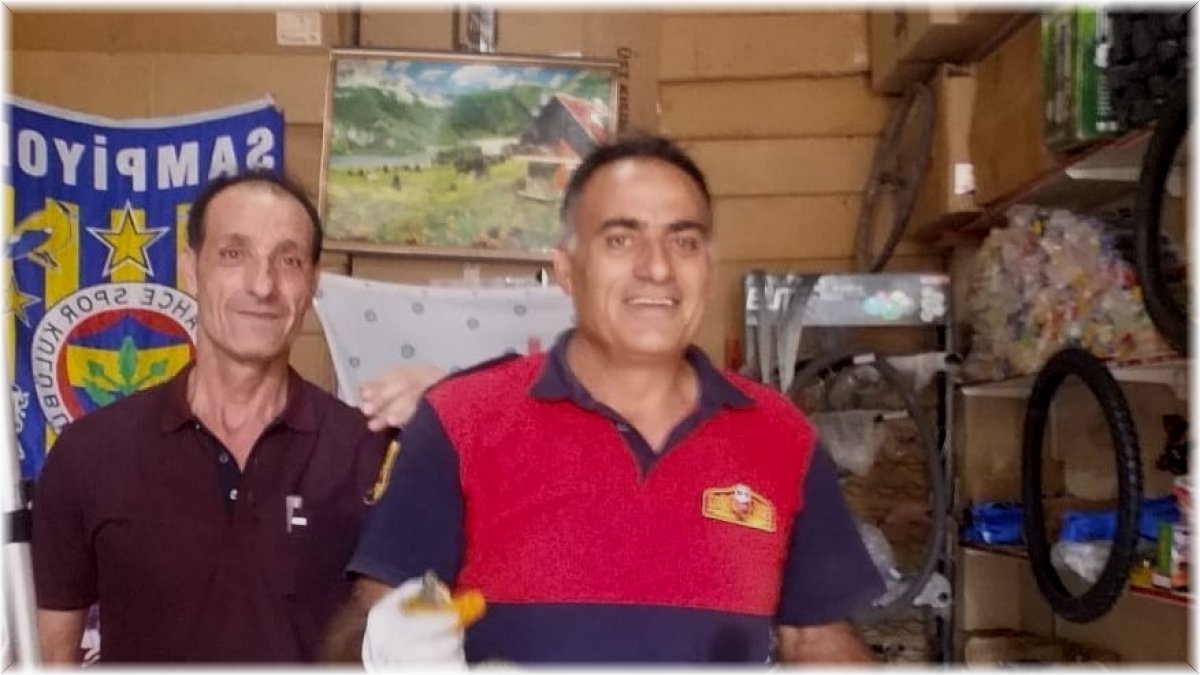 İş yerine giren yılan yakalanarak doğal ortamına bırakıldı