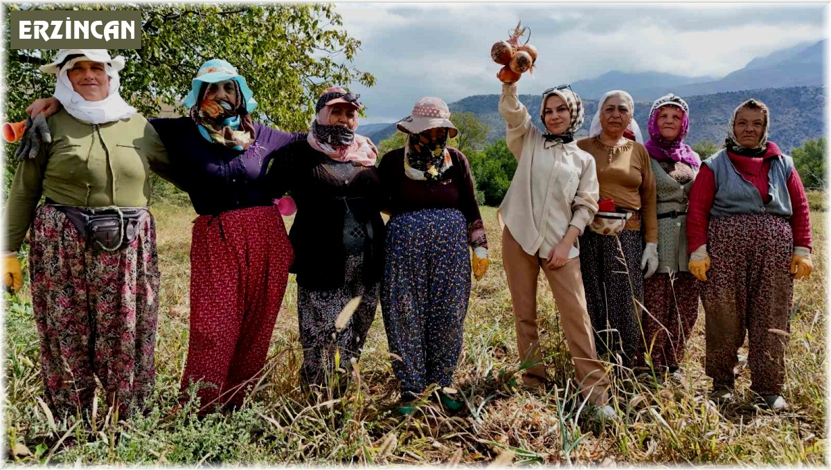 İşçi kadınlar önce hasat ettiler sonra halay çektiler