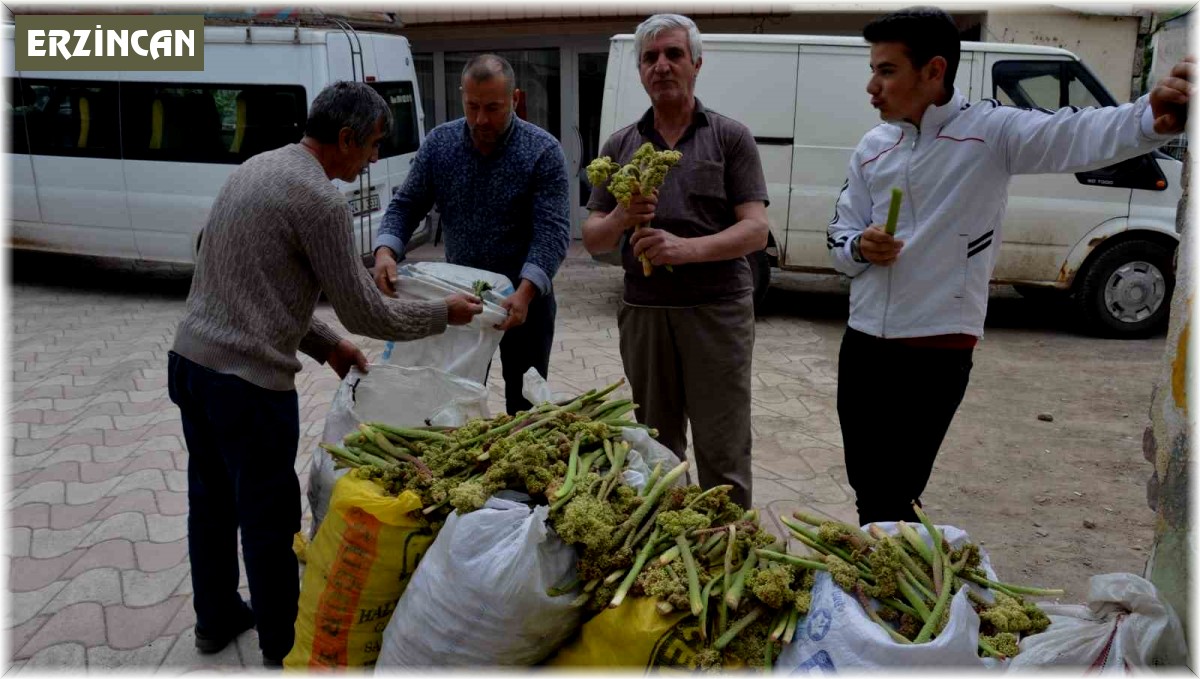 Işgın tezgahlardaki yerini aldı