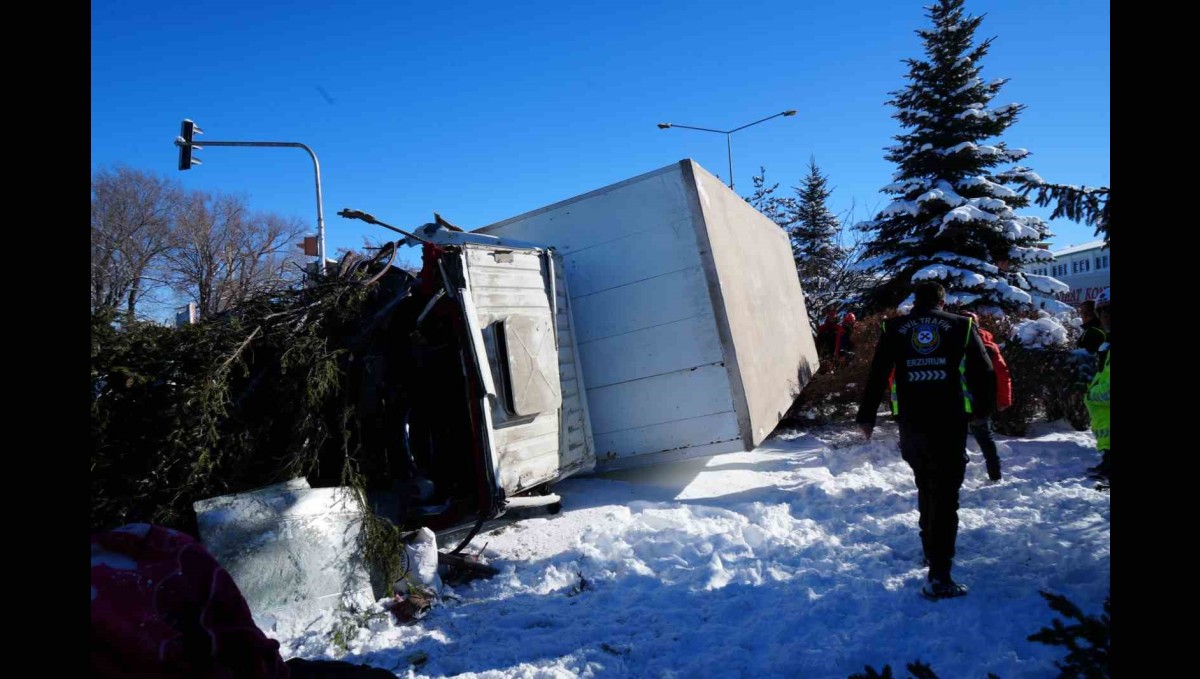 Işıklarda duramayan kamyon devrildi, çarptığı ağacı kökünden söktü